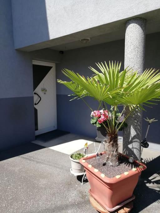 Appartement Agreable Haguenau Exteriör bild